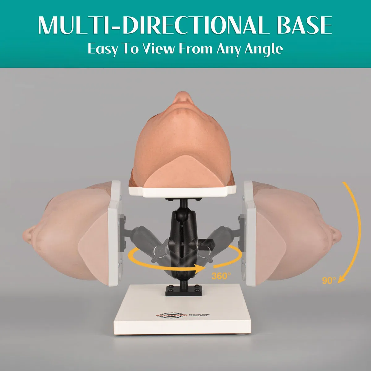 Modèle de formation du visage de mannequin d'injection de silicone, modèle de tête de maquillage avec des problèmes faciaux courants pour l'enseignement du micro-plastique