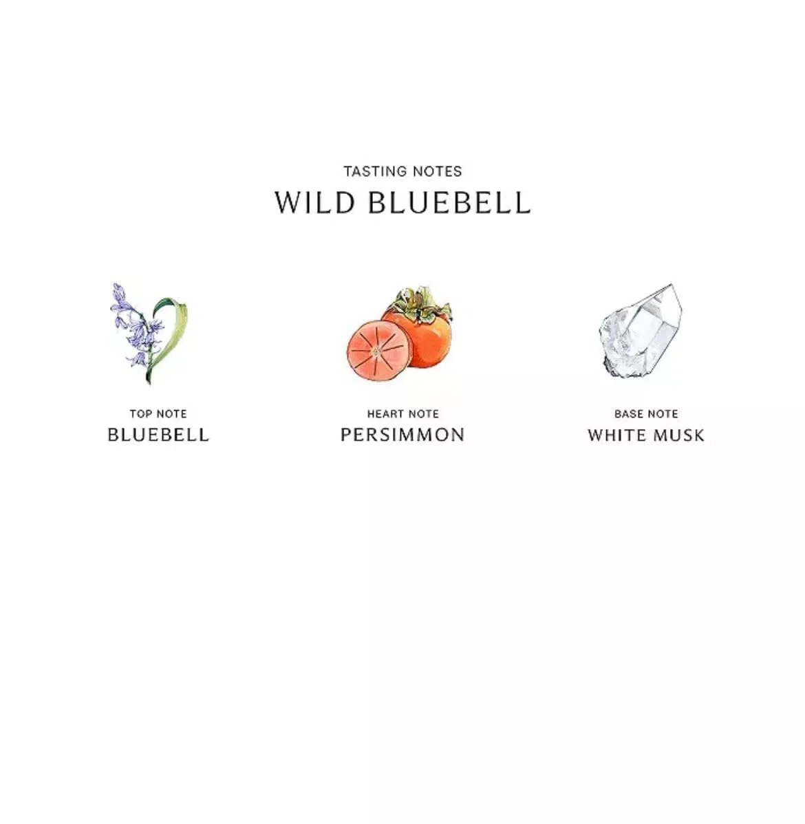 Wild Bluebell Body & Hand Wash (With Pump) - 250ml/8.5oz